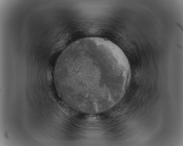 X0000097810746200803281058