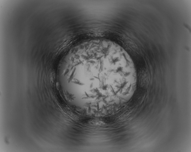 X0000097810747200803281058