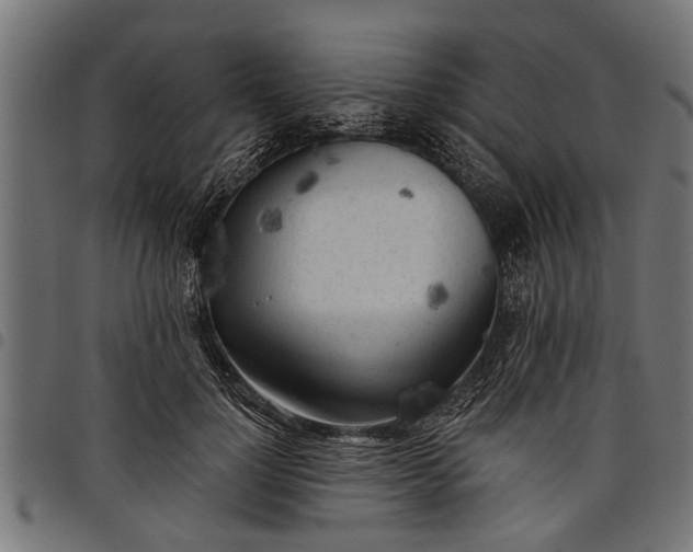 X0000097810748200803281058