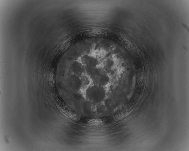 X0000097810749200803281058