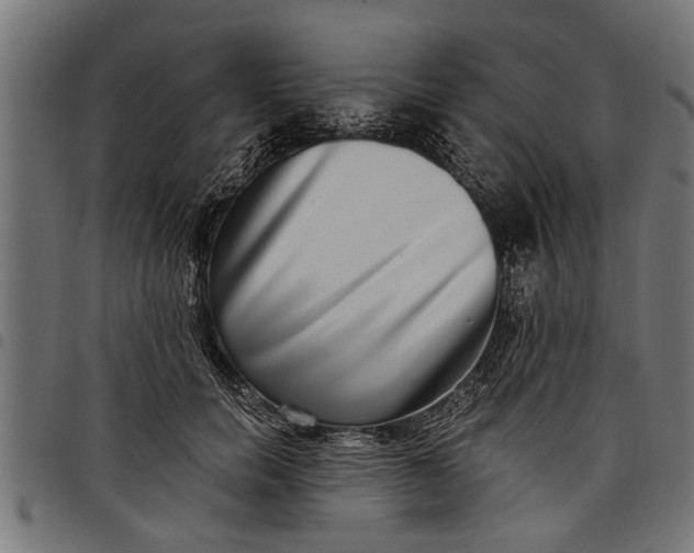 X0000097810750200803281058