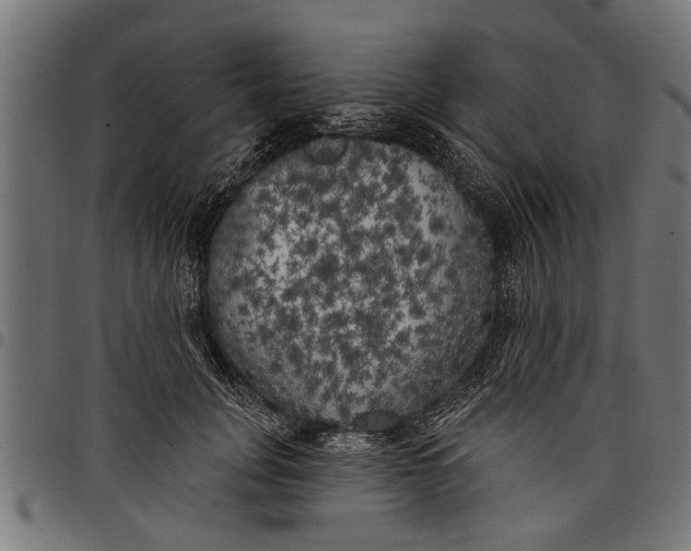 X0000097810751200803281058