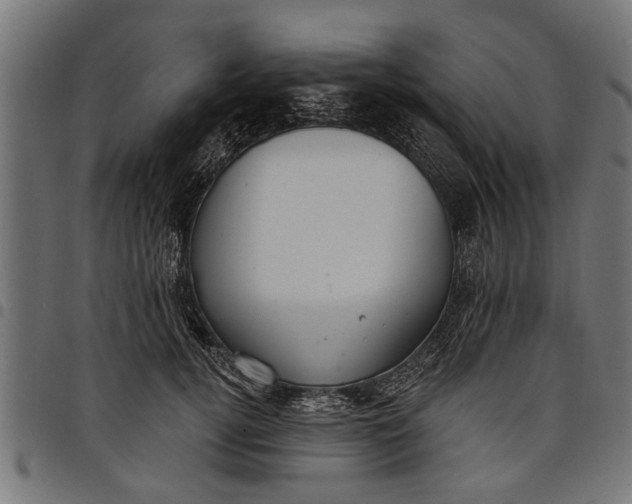 X0000097810752200803281058