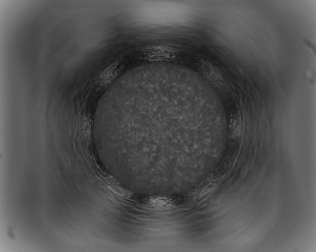 X0000097810753200803281058