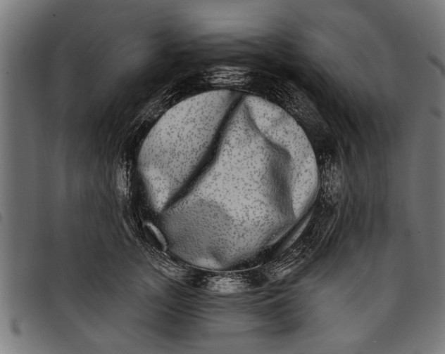 X0000097810755200803281058