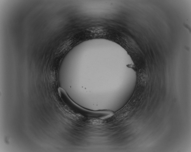 X0000097810756200803281058