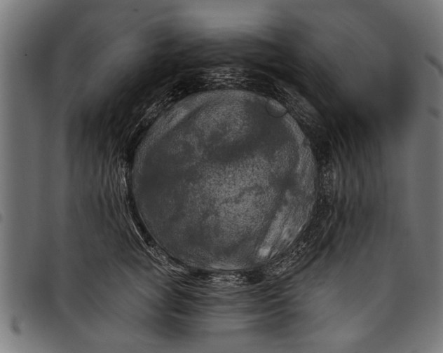 X0000097810757200803281058