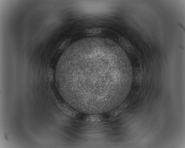 X0000097810758200803281058