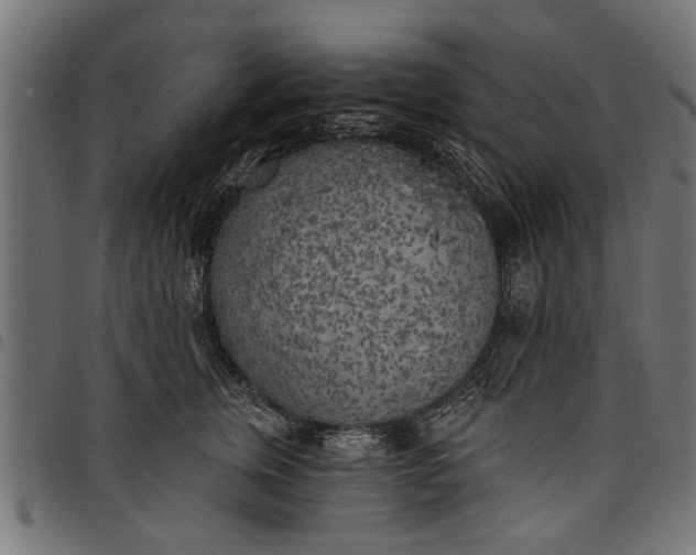 X0000097810759200803281058