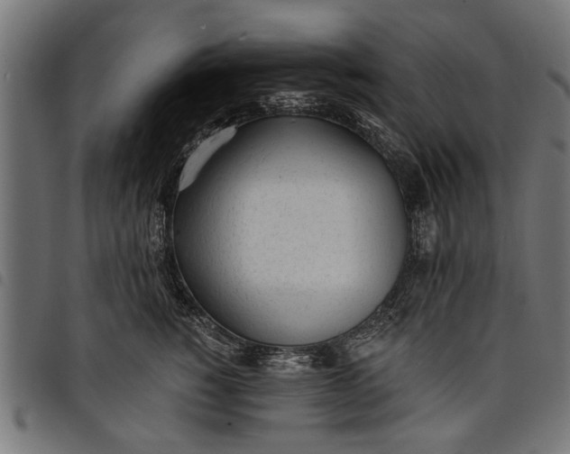 X0000097810760200803281058