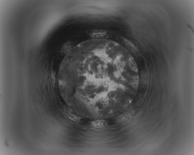 X0000097810761200803281058