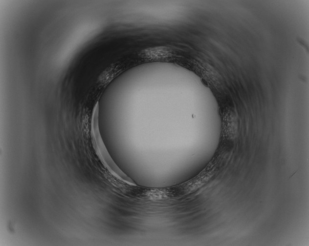 X0000097810762200803281058