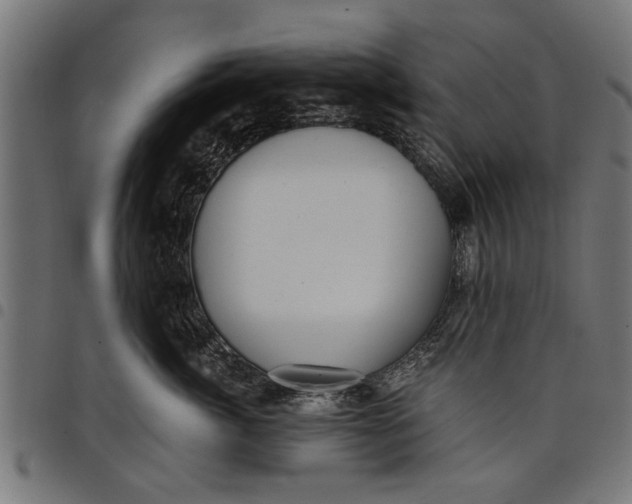 X0000097810764200803281058