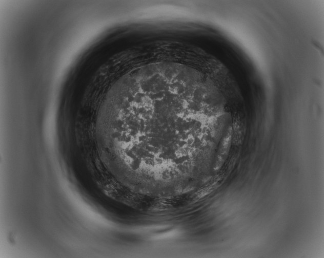 X0000097810765200803281058