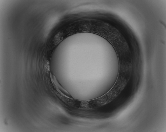 X0000097810766200803281058