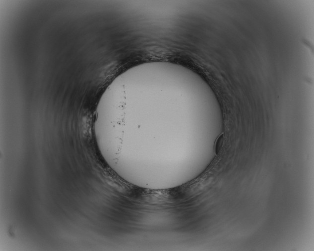 X0000097810768200803281058