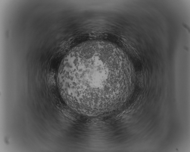 X0000097810770200803281057