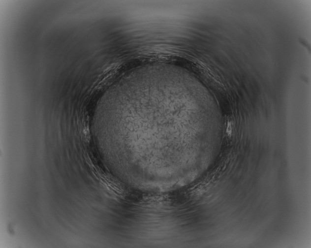 X0000097810771200803281057