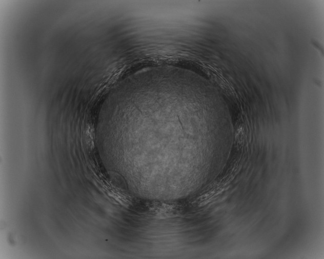 X0000097810772200803281057