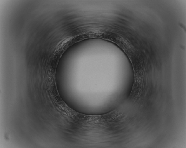 X0000097810773200803281057