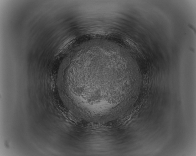 X0000097810774200803281057