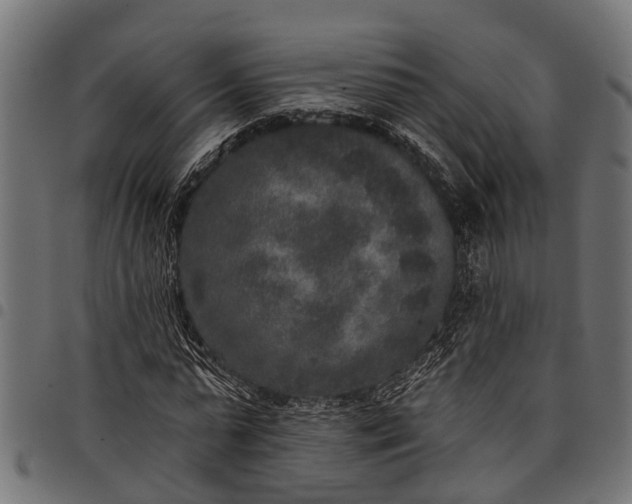 X0000097810775200803281057