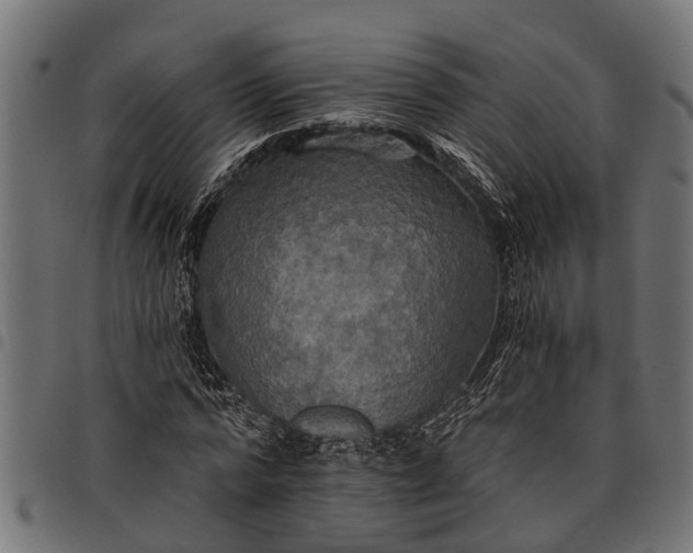 X0000097810776200803281057