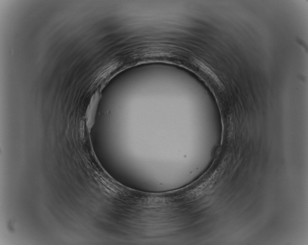 X0000097810777200803281057