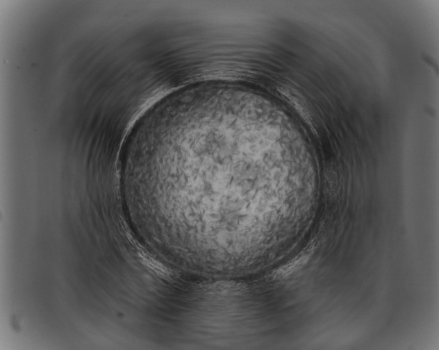 X0000097810779200803281057