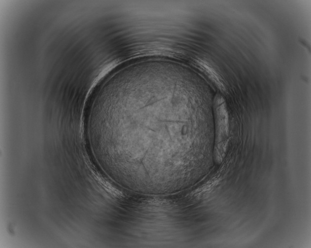 X0000097810780200803281057