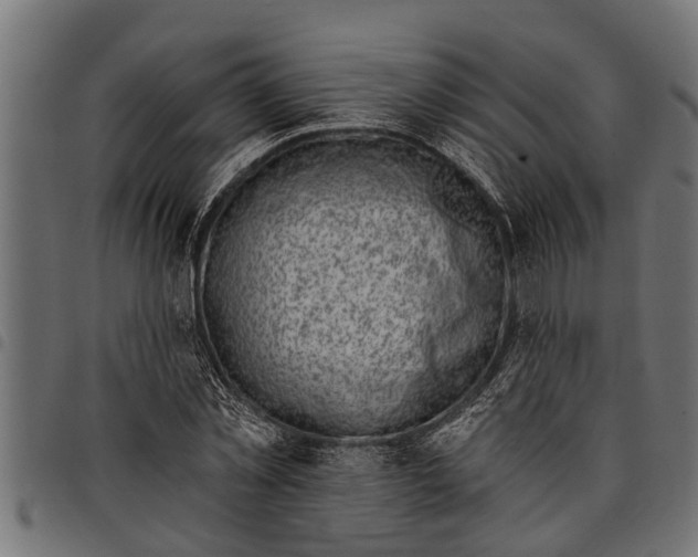 X0000097810781200803281057