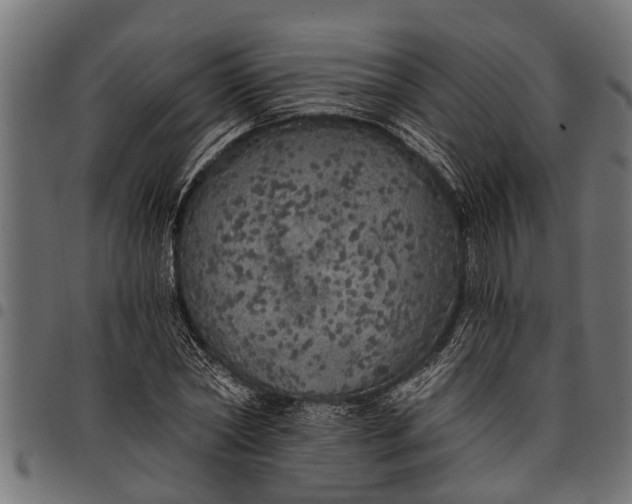 X0000097810782200803281057