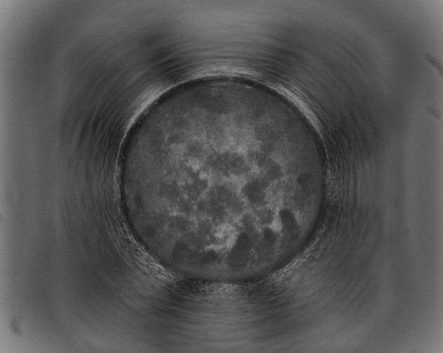 X0000097810783200803281057