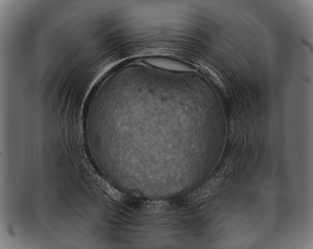 X0000097810784200803281057