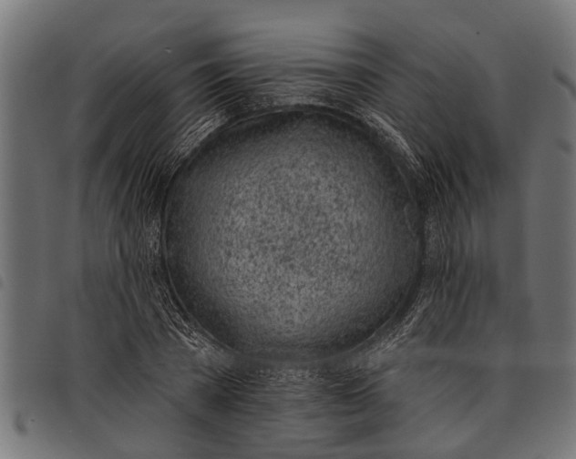 X0000097810785200803281057