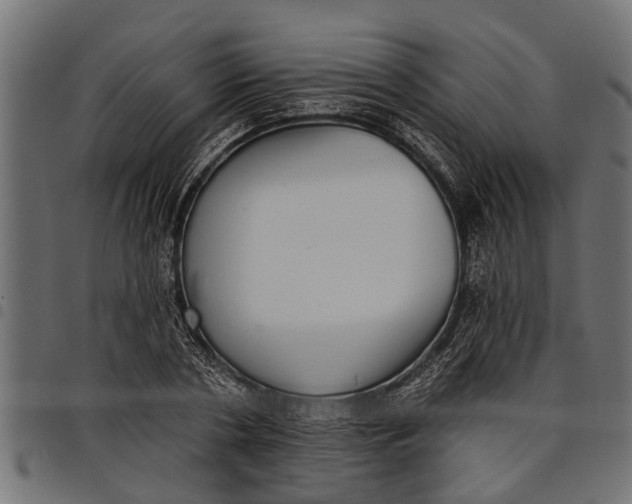 X0000097810786200803281057