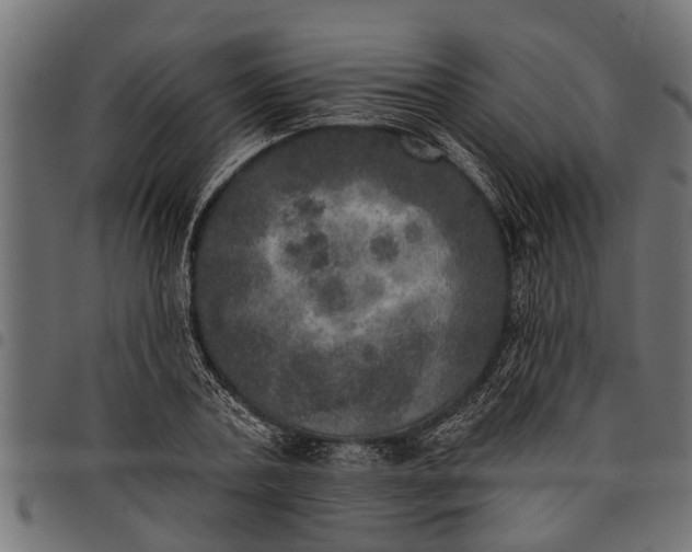 X0000097810787200803281057