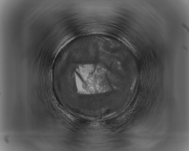 X0000097810790200803281057