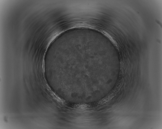 X0000097810791200803281057