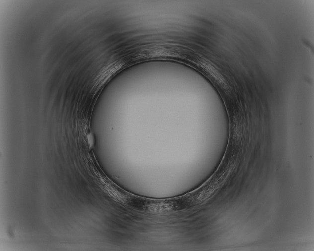 X0000097810793200803281057