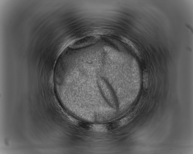 X0000097810794200803281057