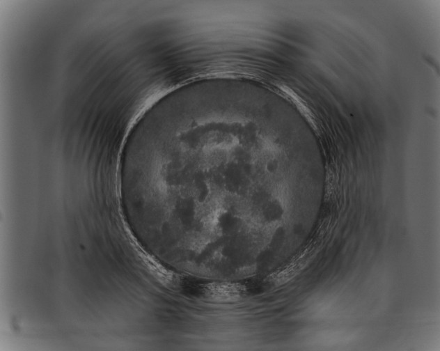 X0000097810795200803281057