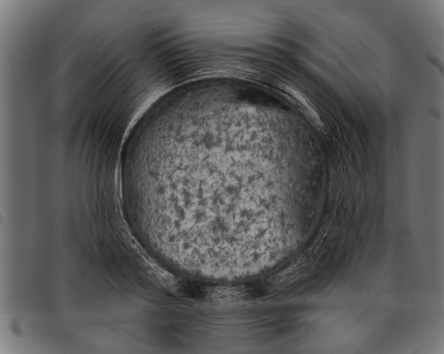 X0000097810796200803281057