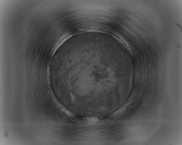 X0000097810798200803281057