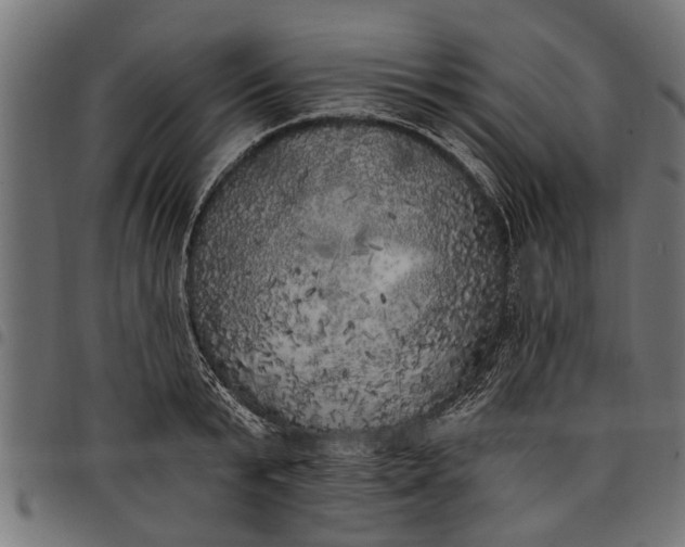 X0000097810799200803281057