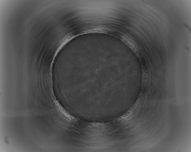 X0000097810800200803281057