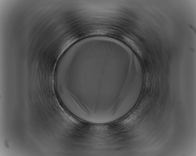 X0000097810802200803281057