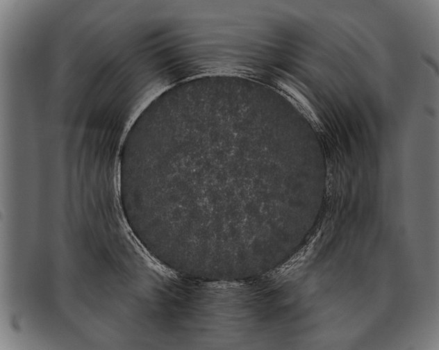 X0000097810804200803281057