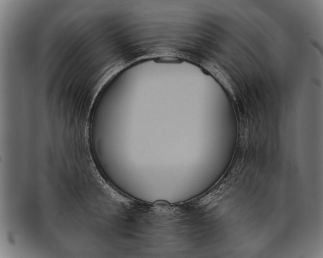 X0000097810805200803281057