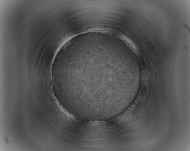 X0000097810808200803281057